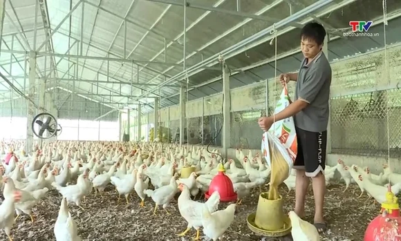 Thu hút hơn 17.600 tỷ đồng đầu tư các dự án chăn nuôi quy mô lớn