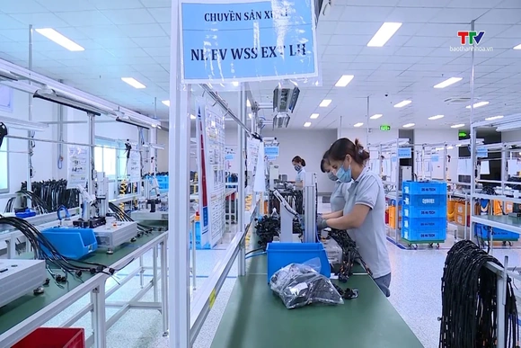 Doanh nghiệp xuất khẩu tìm cách giảm phụ thuộc vào một thị trường