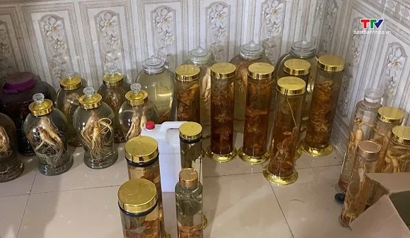 Tìm bị hại trong vụ án lừa dối khách hàng liên quan đến sâm Ngọc Linh