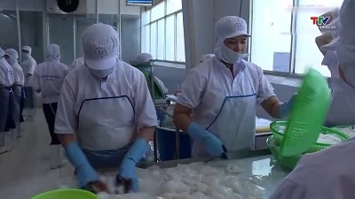 Xuất khẩu thủy sản 8 tháng áp sát mốc 8 tỷ USD
