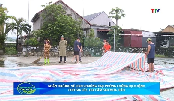 Bản tin Nông nghiệp - Nông thôn ngày 23/9/2026