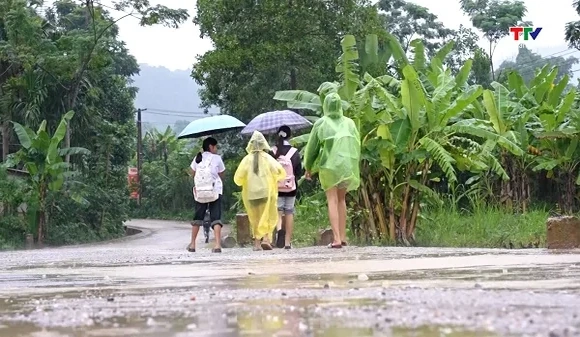 Những điều ước dưới tán cây