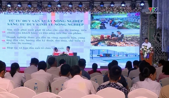 Bàn giải pháp phát triển nông sản chủ lực lướng tới xuất khẩu
