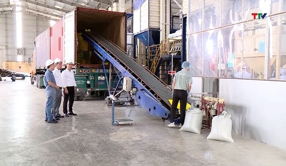 Quy định mới về kinh doanh xuất khẩu, nhập khẩu gạo