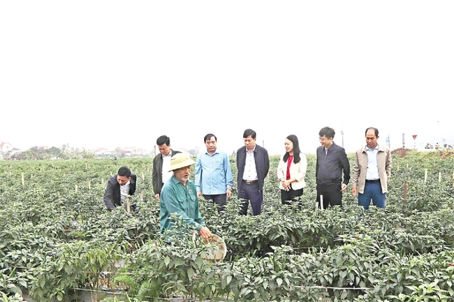 Lựa chọn người tài, đức - nhiệm vụ “then chốt” của then chốt