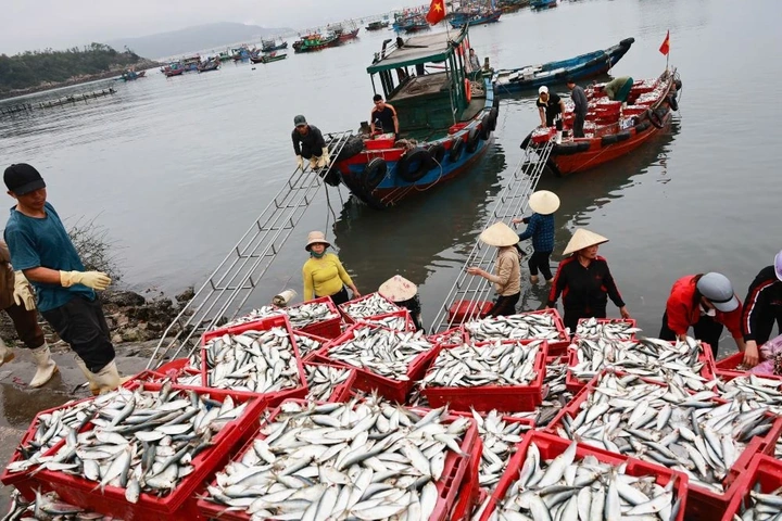 Biển Nghi Sơn nhộn nhịp đầu năm