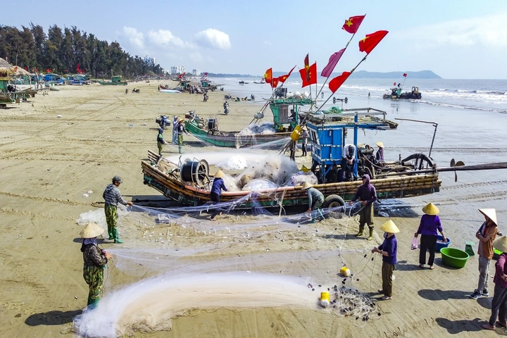 Giá nhiên liệu tăng, mùa cá trích giúp ngư dân ven biển giữ nhịp sinh kế