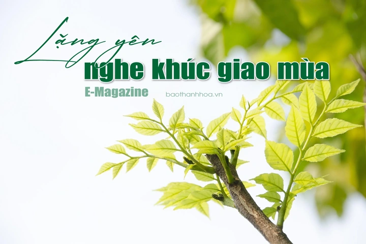 [E-Magazine]: Lặng yên nghe khúc giao mùa