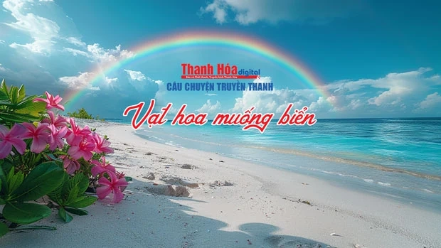Câu chuyện truyền thanh “Vạt hoa muống biển”