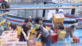 Bản tin Thời sự tối 20/9/2025: Thanh Hóa: Khai thác Thủy sản 9 tháng đạt trên 100 nghìn tấn