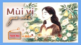 [Podcast Tản văn]: Mùi vị quê nhà