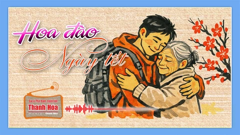 [Podcast] Truyện ngắn: Hoa đào ngày Tết