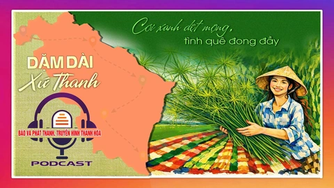 [PODCAST Dặm dài xứ Thanh] Cói xanh dệt mộng, tình quê đong đầy