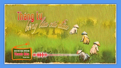 [Podcast Tản văn] Tháng Tư bông lúa cúi đầu