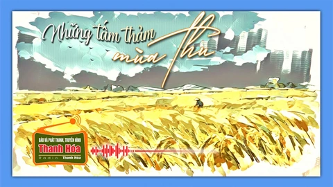 [Podcast Tản văn] Những tấm thảm mùa thu