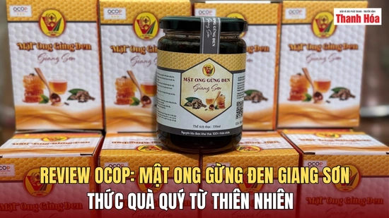 [REVIEW OCOP] Mật ong ngâm gừng đen Giang Sơn: Thức quà quý từ thiên nhiên