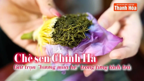 [REVIEW OCOP] Chè sen Chính Hà – Giữ trọn “hương mùa hè” trong từng tách trà